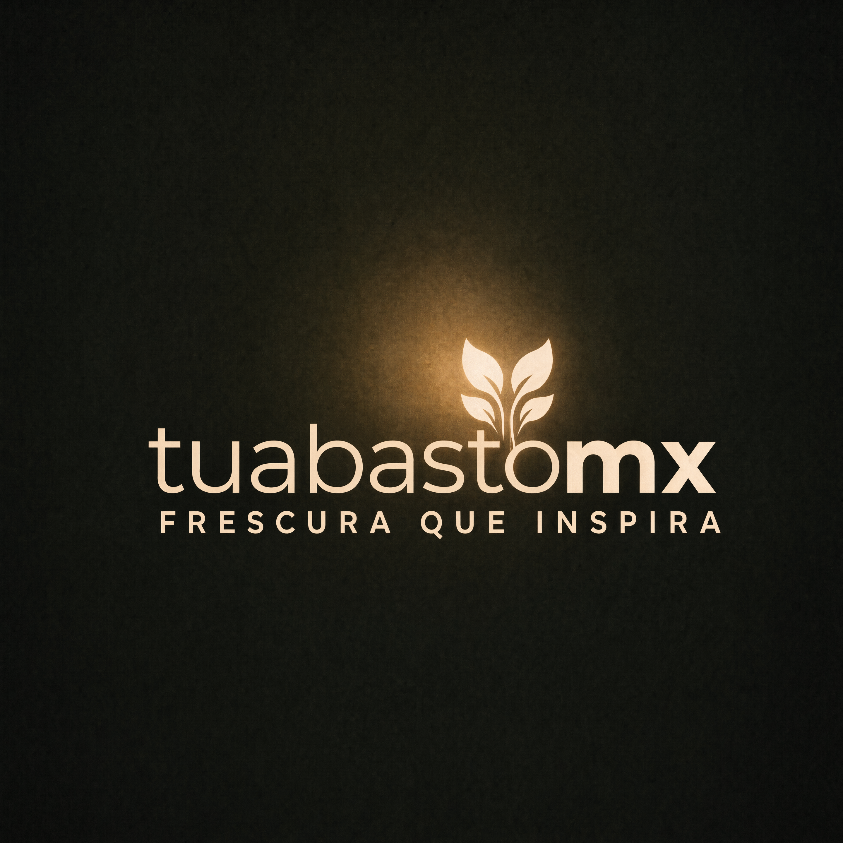Tu Abasto MX
